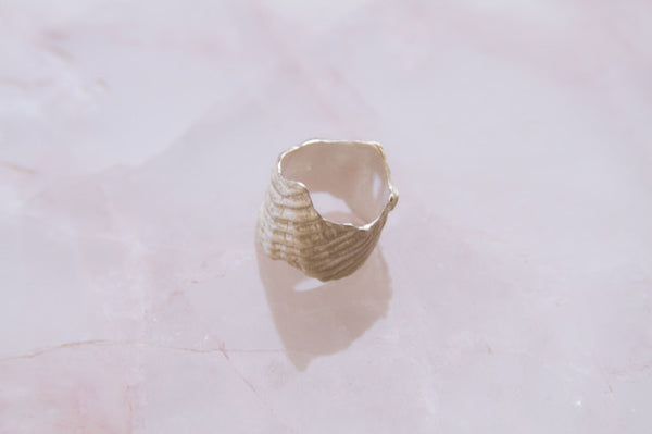 Shell Ring-09
